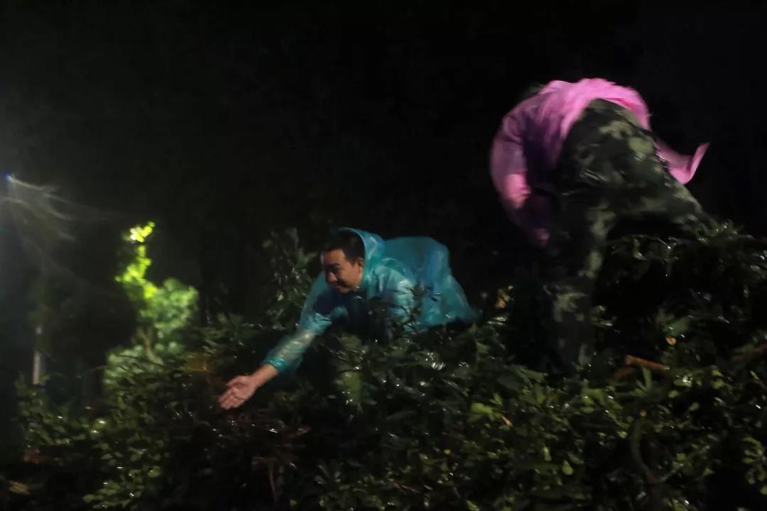 珠海不眠夜，格力整晚陪伴……