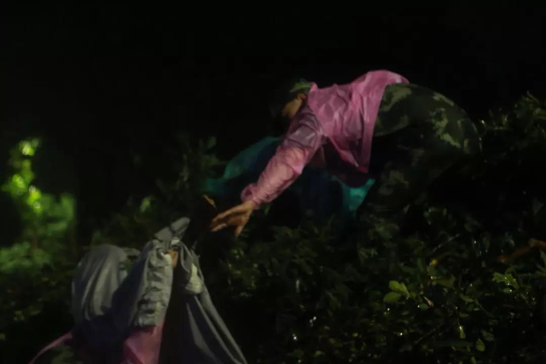 珠海不眠夜，格力整晚陪伴……